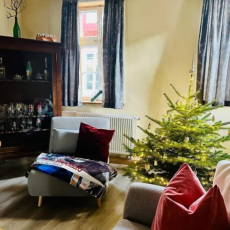 Helene Im Einzeldenkmal - Lange Gasse 29 아파트